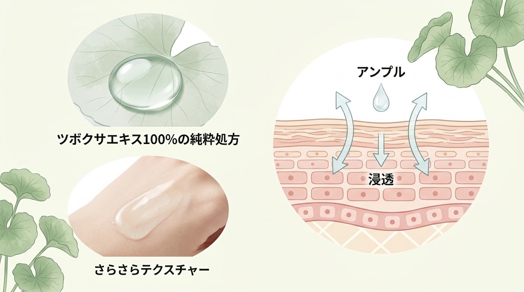 センテラアンプルのテクスチャーと肌への浸透イメージ